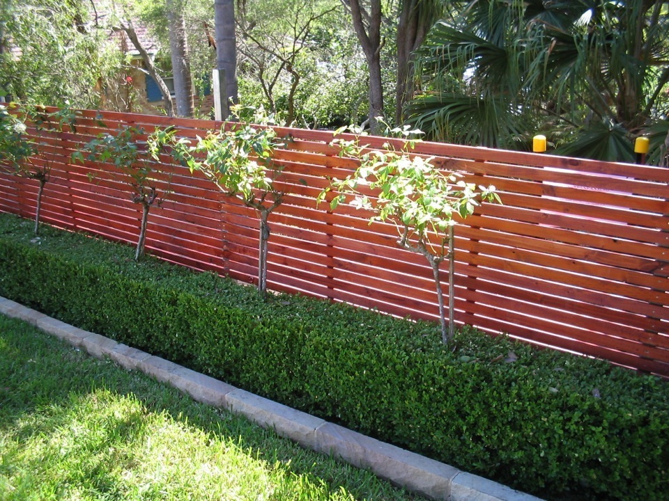 #nivoslider-215-caption-14